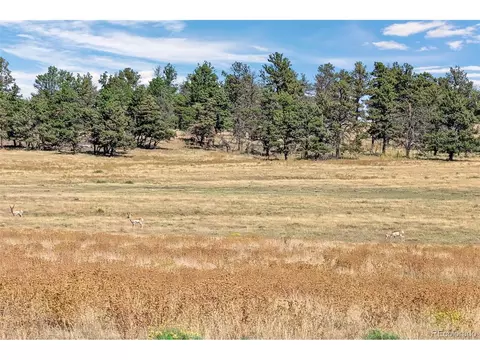 14 W Ridge Rd, Ramah, CO 80832 photo 12