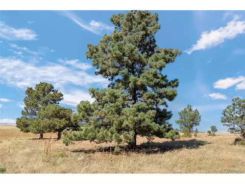 14 W Ridge Rd, Ramah, CO 80832 photo 16