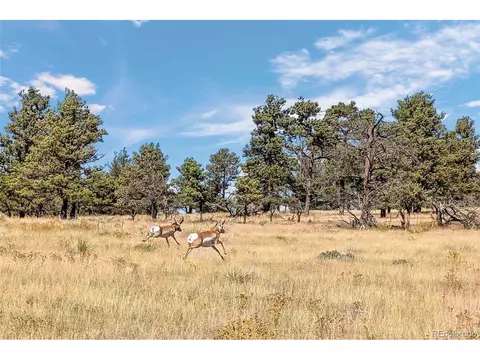 14 W Ridge Rd, Ramah, CO 80832 photo 13