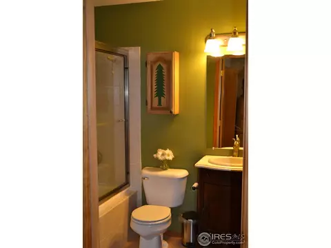 3763 Cedar Mountain Rd, Divide, CO 80814 photo 20