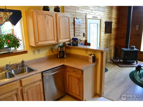 3763 Cedar Mountain Rd, Divide, CO 80814 photo 7