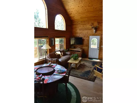 3763 Cedar Mountain Rd, Divide, CO 80814 photo 2