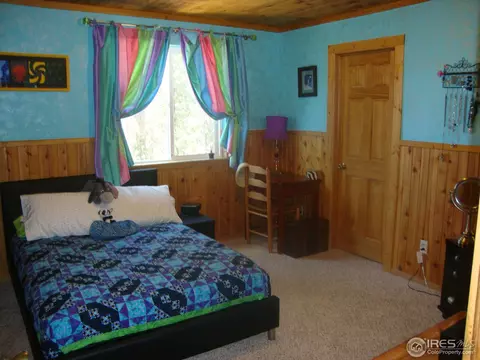 3763 Cedar Mountain Rd, Divide, CO 80814 photo 11