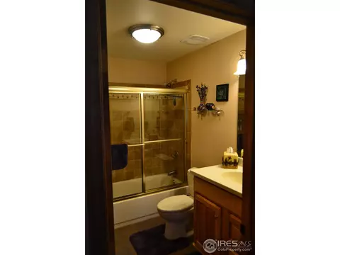 3763 Cedar Mountain Rd, Divide, CO 80814 photo 13