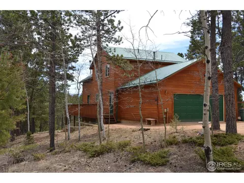 3763 Cedar Mountain Rd, Divide, CO 80814 photo 22