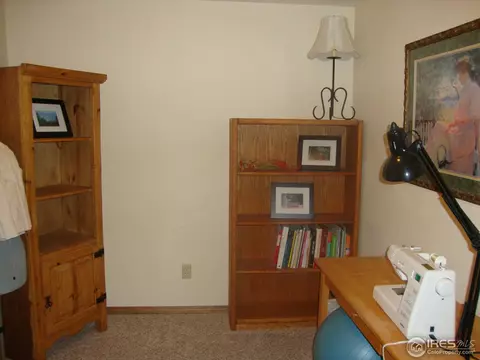 3763 Cedar Mountain Rd, Divide, CO 80814 photo 19