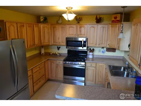 3763 Cedar Mountain Rd, Divide, CO 80814 photo 6