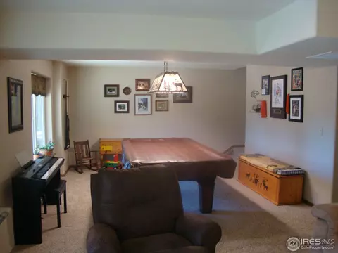 3763 Cedar Mountain Rd, Divide, CO 80814 photo 15