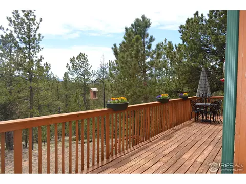 3763 Cedar Mountain Rd, Divide, CO 80814 photo 21