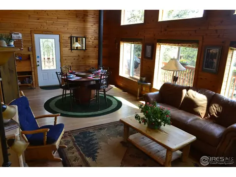 3763 Cedar Mountain Rd, Divide, CO 80814 photo 3