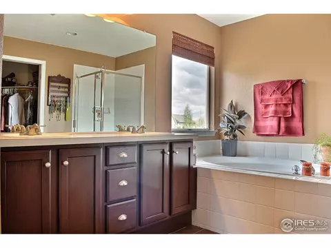 117 Cobble Ct, Windsor, CO 80550 photo 17