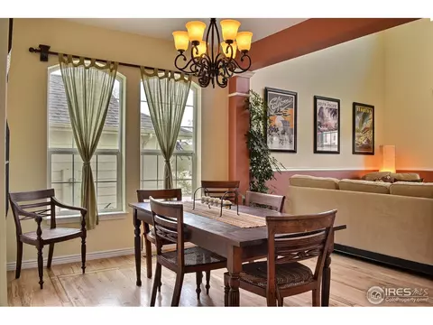 117 Cobble Ct, Windsor, CO 80550 photo 5