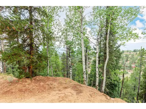 427 Wise Rd, Bailey, CO 80421 photo 1