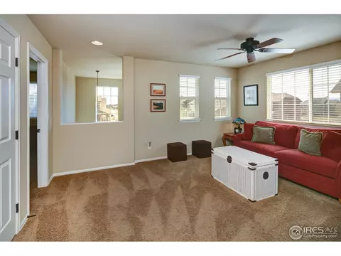6424 Mayfair Ave, Timnath, CO 80547 photo 14