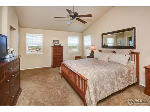 6424 Mayfair Ave, Timnath, CO 80547 photo 15