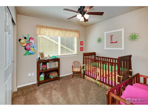 6424 Mayfair Ave, Timnath, CO 80547 photo 18