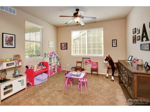 6424 Mayfair Ave, Timnath, CO 80547 photo 21