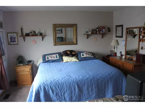247 Opal Ct, Windsor, CO 80550 photo 5