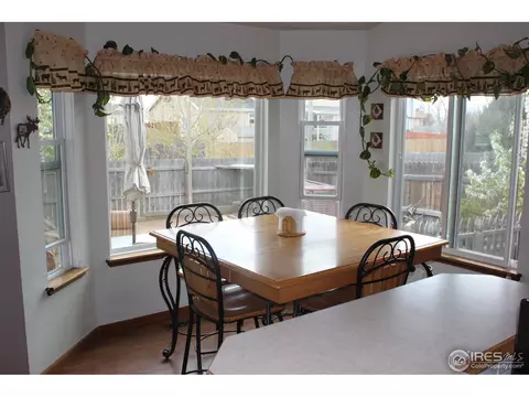 247 Opal Ct, Windsor, CO 80550 photo 4