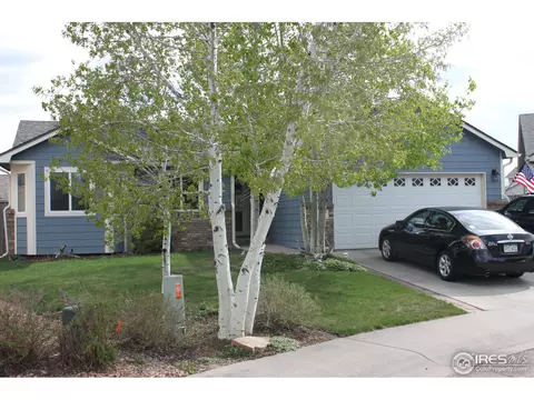 247 Opal Ct, Windsor, CO 80550 photo 1