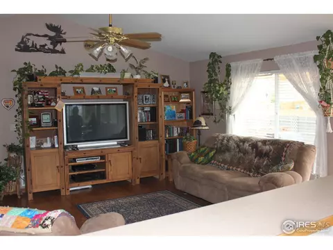247 Opal Ct, Windsor, CO 80550 photo 2