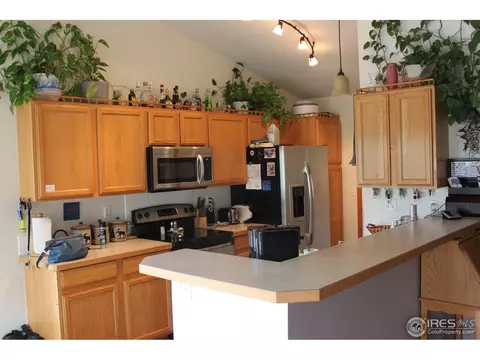 247 Opal Ct, Windsor, CO 80550 photo 3