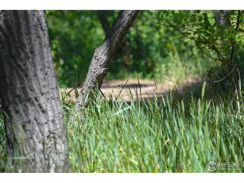 642 Rawlins Way, Lafayette, CO 80026 photo 23