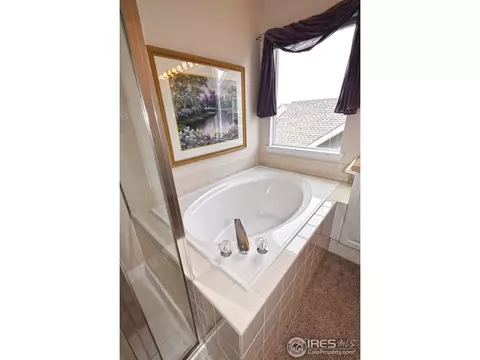 126 Whitney Ct, Windsor, CO 80550 photo 13