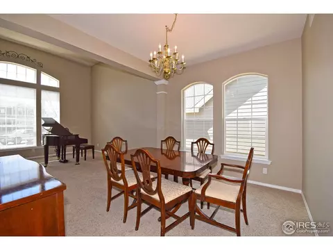 126 Whitney Ct, Windsor, CO 80550 photo 8
