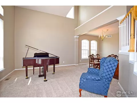 126 Whitney Ct, Windsor, CO 80550 photo 9