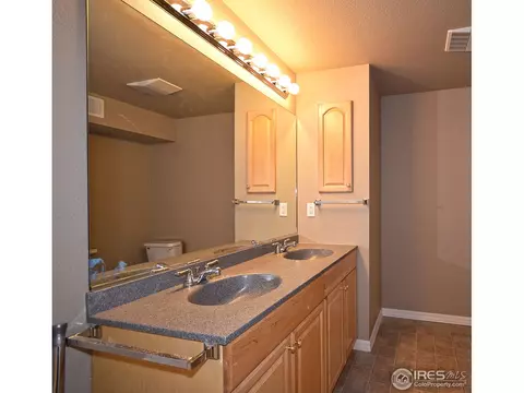 126 Whitney Ct, Windsor, CO 80550 photo 18