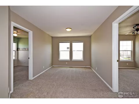 126 Whitney Ct, Windsor, CO 80550 photo 15