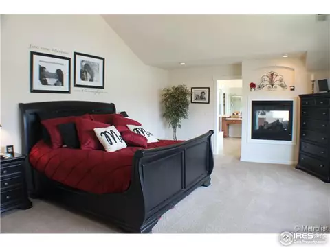 2625 E 141st Pl, Thornton, CO 80602 photo 5