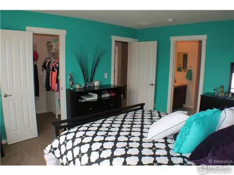 2625 E 141st Pl, Thornton, CO 80602 photo 15