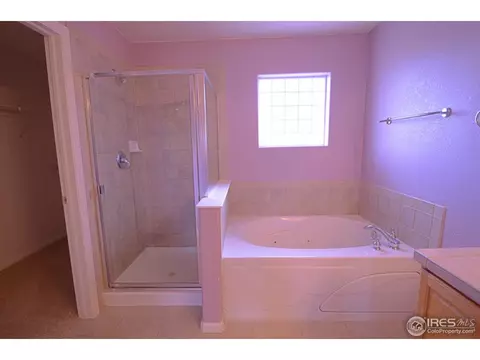 9876 E Carolina Pl, Denver, CO 80247 photo 18