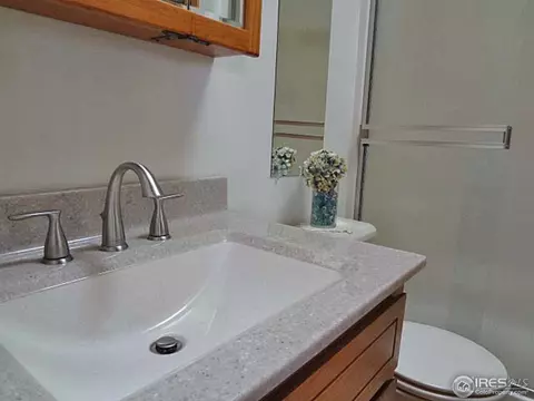 6851 Rodney St, Windsor, CO 80550 photo 10