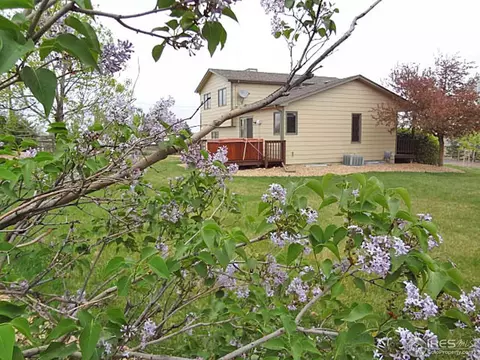 6851 Rodney St, Windsor, CO 80550 photo 17