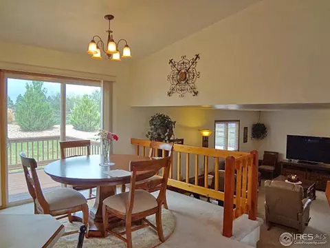 6851 Rodney St, Windsor, CO 80550 photo 4