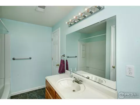 921 Shetland Ct, Windsor, CO 80550 photo 16