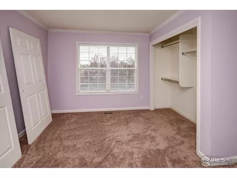 921 Shetland Ct, Windsor, CO 80550 photo 14