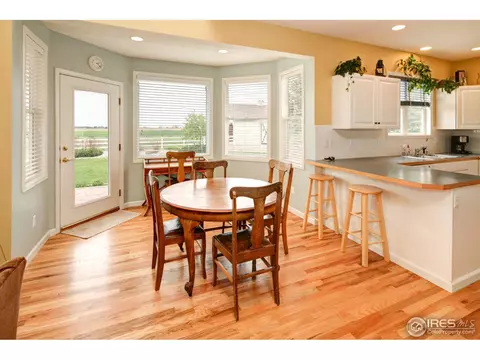 921 Shetland Ct, Windsor, CO 80550 photo 7