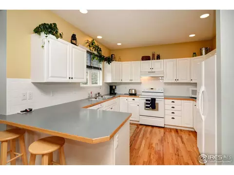 921 Shetland Ct, Windsor, CO 80550 photo 6