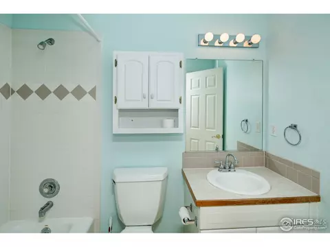 921 Shetland Ct, Windsor, CO 80550 photo 15