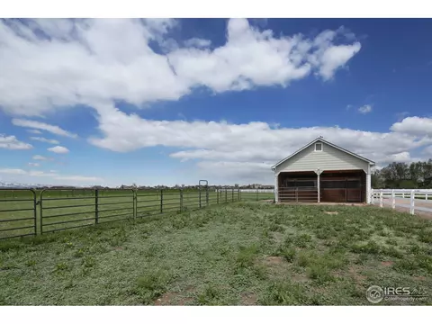 921 Shetland Ct, Windsor, CO 80550 photo 23