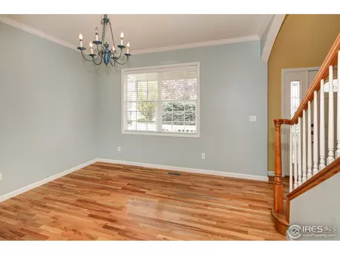 921 Shetland Ct, Windsor, CO 80550 photo 8