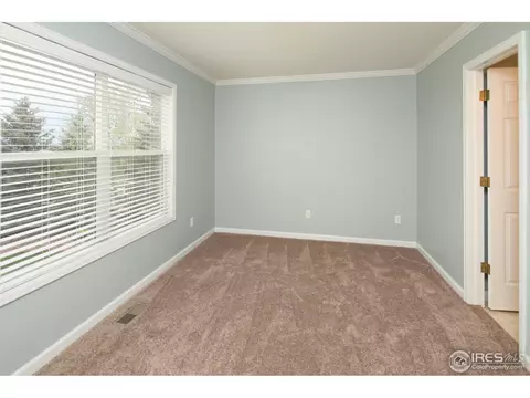 921 Shetland Ct, Windsor, CO 80550 photo 13