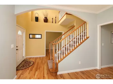921 Shetland Ct, Windsor, CO 80550 photo 9