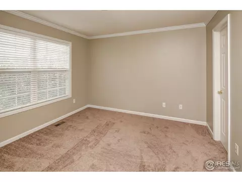 921 Shetland Ct, Windsor, CO 80550 photo 12