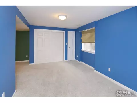 921 Shetland Ct, Windsor, CO 80550 photo 19