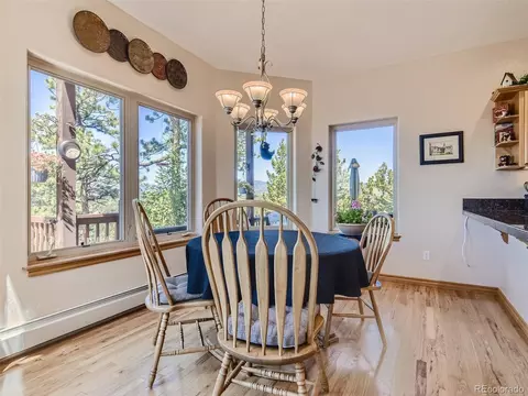 14441 Peaceful Way, Pine, CO 80470 photo 28